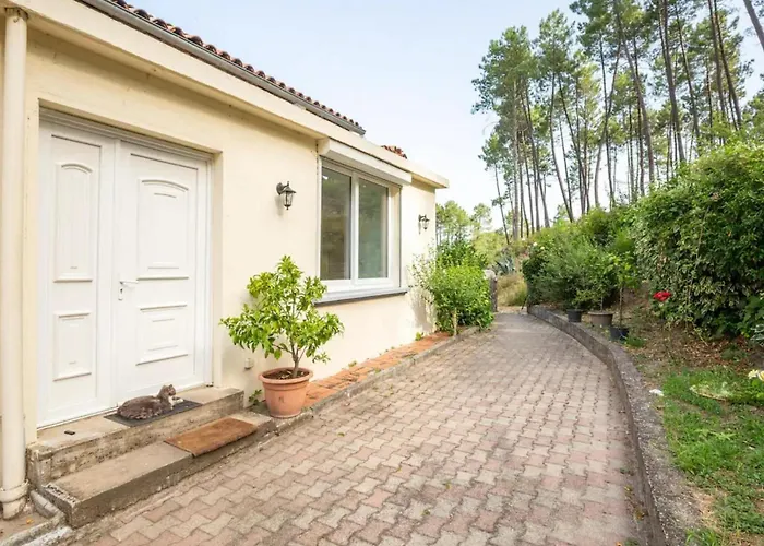 Cevennes View Retreat In 펜션 *